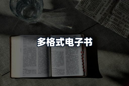 多格式电子书